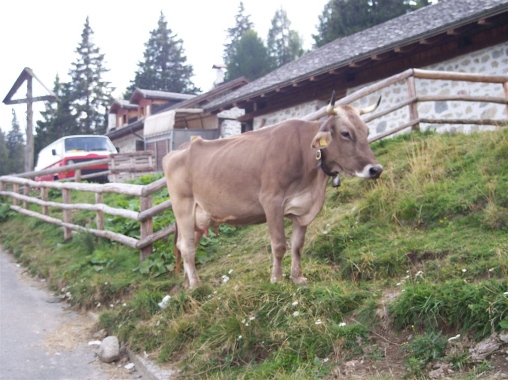 foto (211).JPG